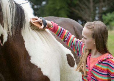 2020 Summer Camp - Cowgirl's Horsemanship Specialty Camp at Kulaqua