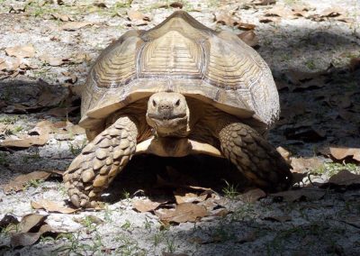 florida-christian-retreat-and-conference-zoo-nature-center-8-sm